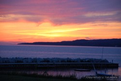 DSC_4449.jpg
