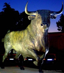 Bull