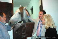 Jim, Stone, and Allen with Horse