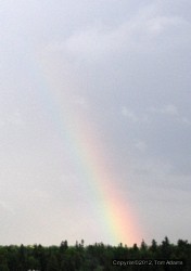 CruiseRainbow21June.jpg