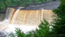 TahquamenonFalls.jpg